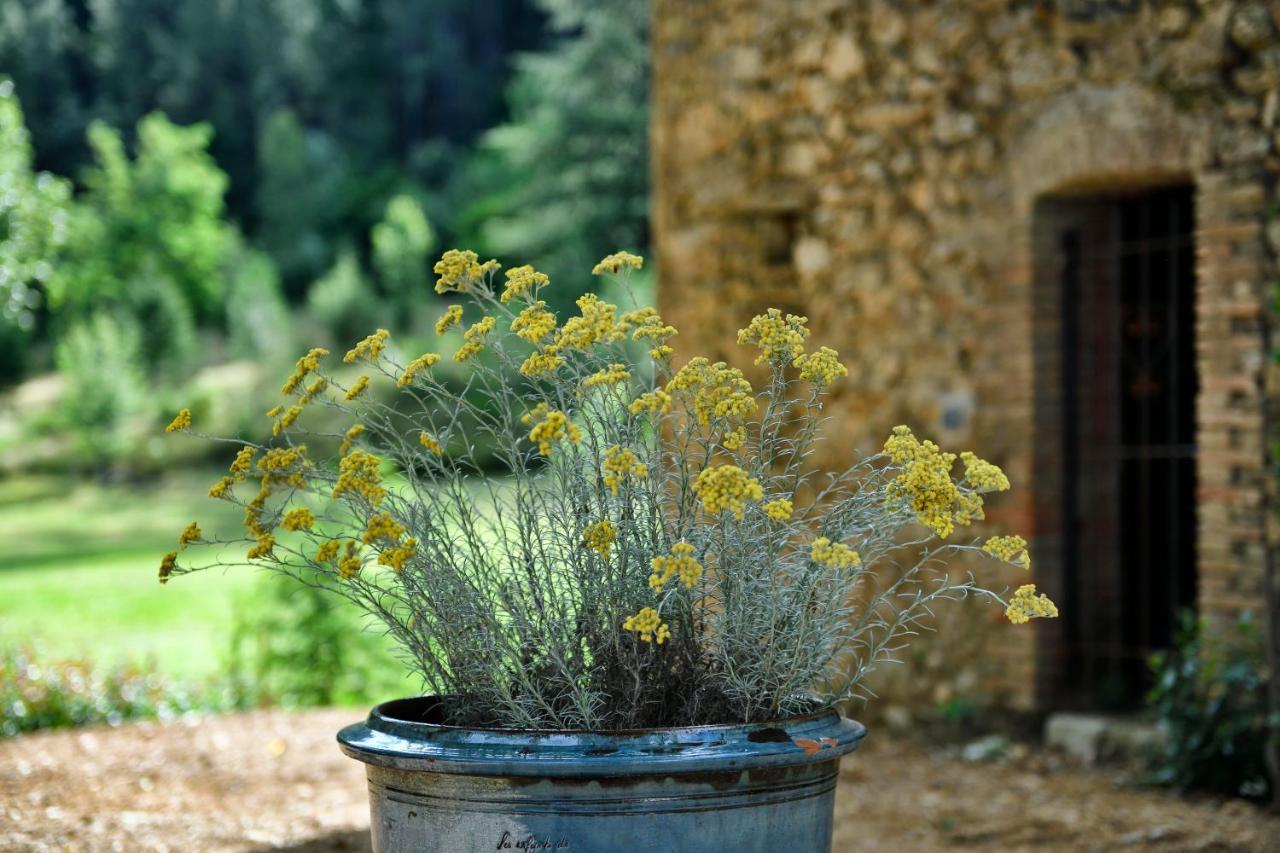 Les Jardins De Falguiere Saint-Jean-du-Gard Zewnętrze zdjęcie