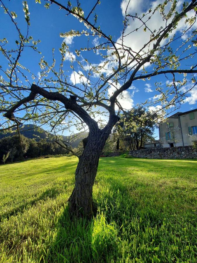 Les Jardins De Falguiere Saint-Jean-du-Gard Zewnętrze zdjęcie