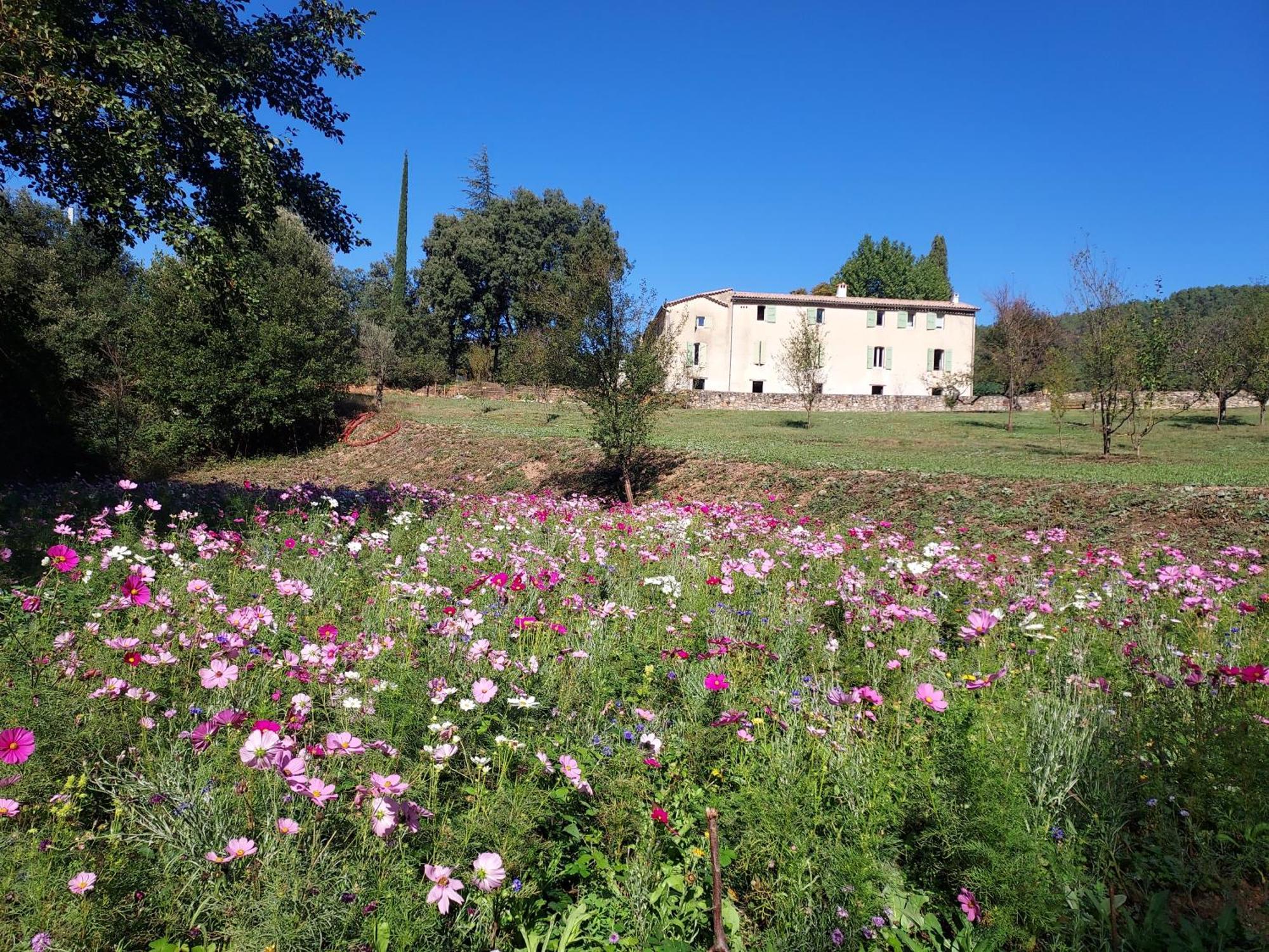 Les Jardins De Falguiere Saint-Jean-du-Gard Zewnętrze zdjęcie