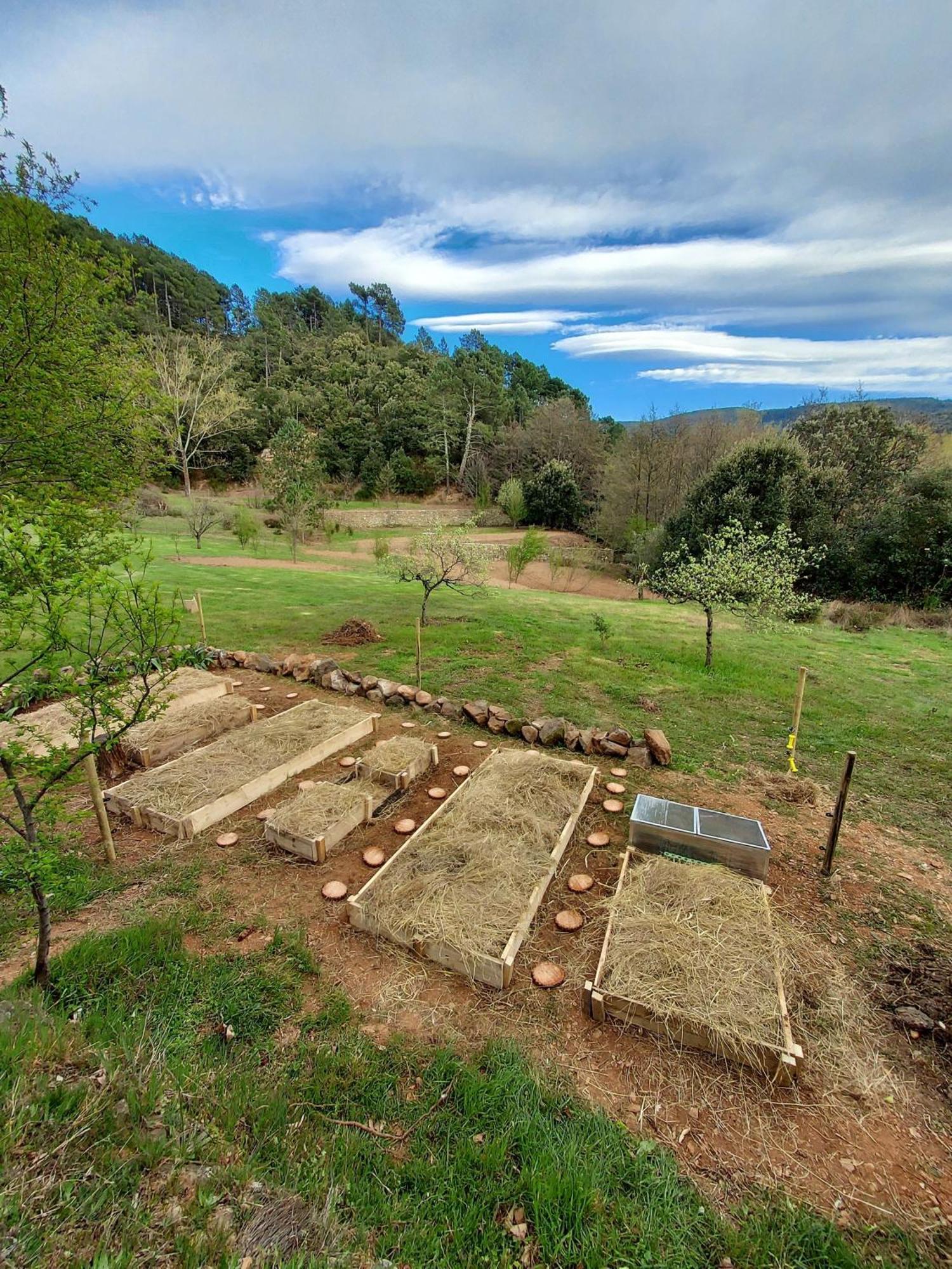 Les Jardins De Falguiere Saint-Jean-du-Gard Zewnętrze zdjęcie